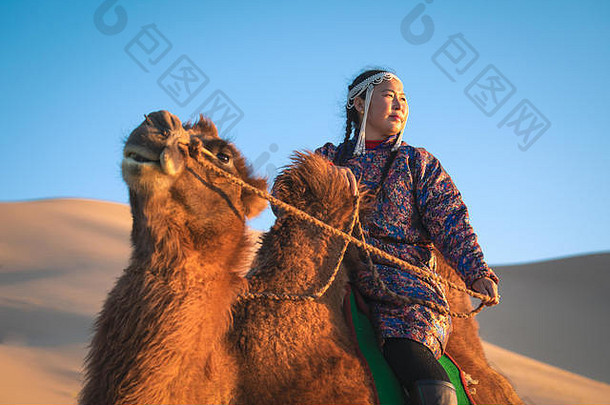 穿着传统蒙古服装的妇女，戴着她的双峰驼。<strong>戈壁沙漠</strong>，蒙古。