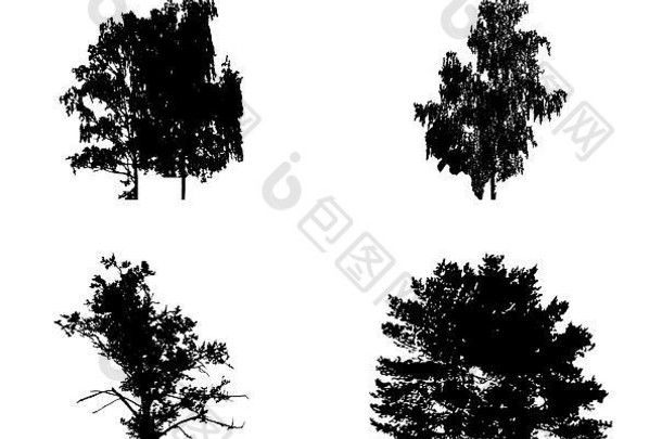 集树轮廓孤立的白色Backgorund维克托插图