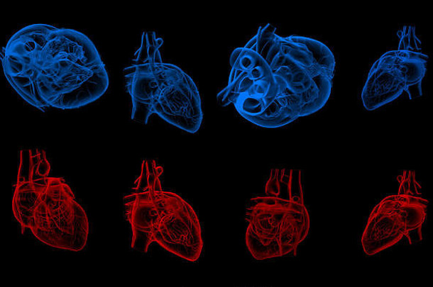 人体心脏的3d渲染插图