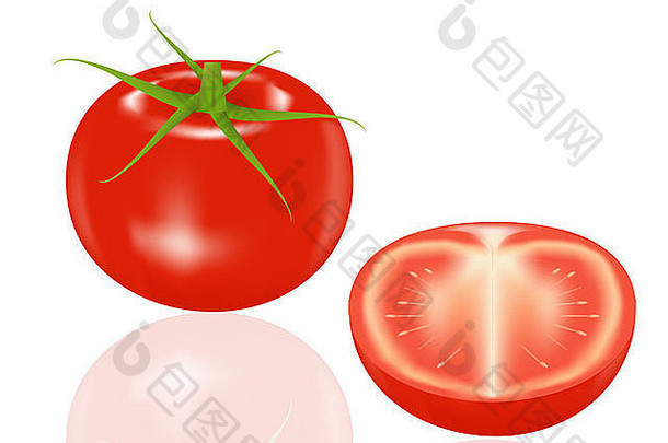 白色背景上的番茄，通过插图绘制