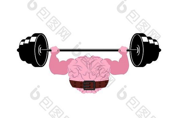 强大的大脑杠铃强大的泵人类大脑