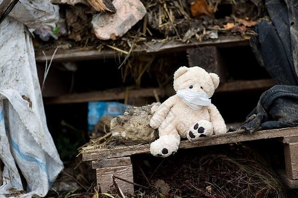 一只戴着医用面具的泰迪熊坐在垃圾填埋场里