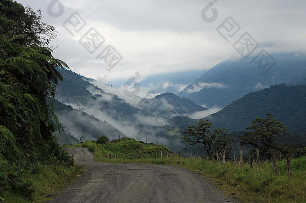 厄瓜多尔山区的路槽<strong>云</strong>林，一直延伸到亚马孙河流域。