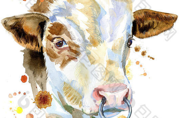 水彩插图白色牛