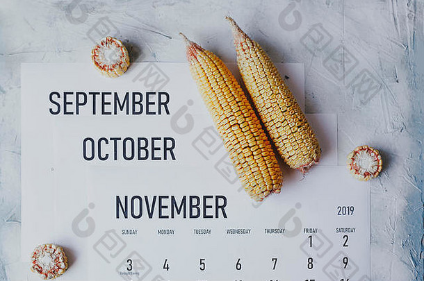 秋季月份，秋季季节概念。收获季节。<strong>九</strong>月、<strong>十月</strong>和十<strong>一</strong>月的三个月历。日历和生玉米的俯视图。