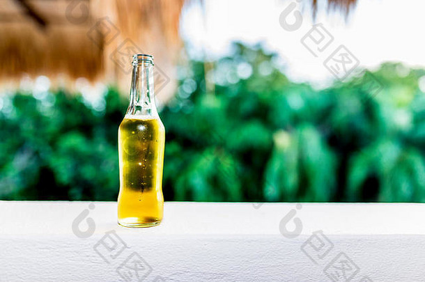 很酷的让人耳目一新瓶层啤酒奢侈品热带加勒比酒店白色洗阳台俯瞰棕榈树