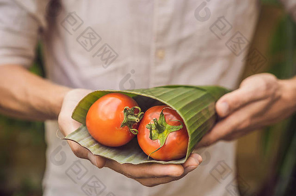 <strong>环保产品</strong>包装概念西红柿包装香蕉叶替代塑料袋浪费概念替代