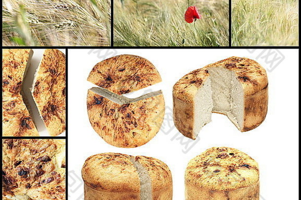 拼贴画孤立的传统的罗马尼亚自制的面包小麦场