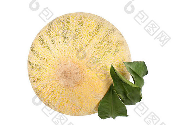 圆形黄色瓜，白色背景上有绿叶，近距离隔离