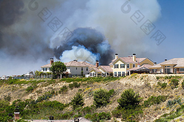 加利福尼亚州圣地亚哥一住宅区发生灌木丛火灾