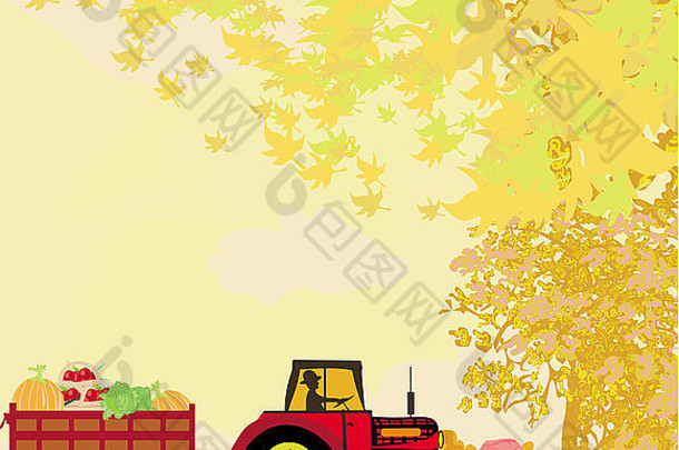 秋天，一名男子驾驶一辆满载蔬菜的拖拉机