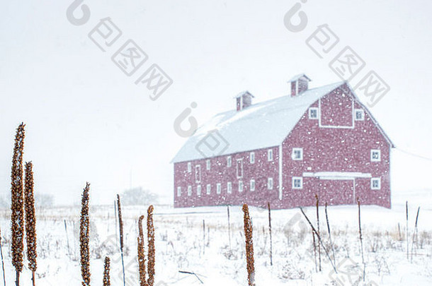 科罗拉多州暴风雪中的红色谷仓。