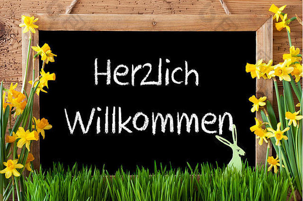 Narcissus复活节兔子Herzlich Willkommen表示欢迎