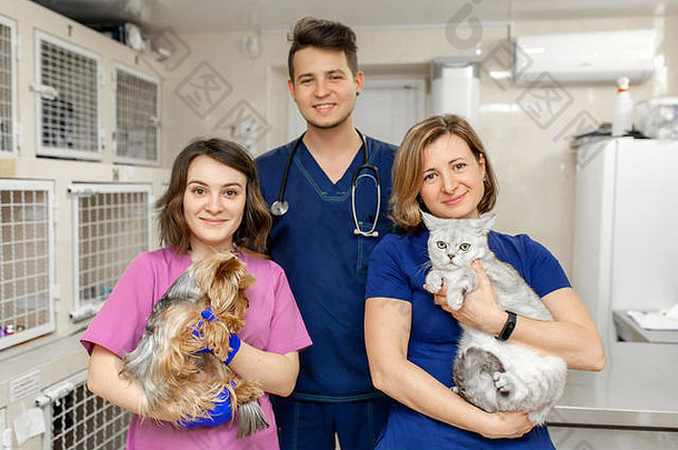 微笑年轻的兽医团队年轻的专业人士持有手健康的动物宠物医疗保健概念
