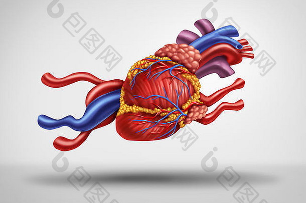 快心快速心跳脉冲心脏病学医疗概念人类循环器官形状的运行动物心脏乏力