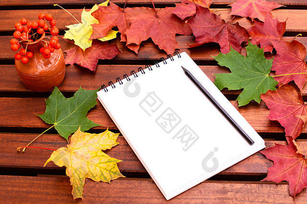 在一张木桌子上用铅笔打开空笔记本，桌上散落着秋天的枫叶，还有一个放着罗文的花瓶。