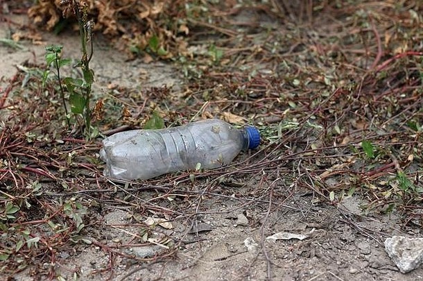 塑料瓶死草