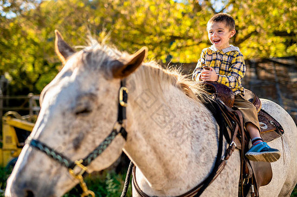 在一个美丽的秋天，一个男孩和一匹马
