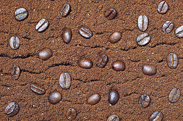 纹理地面咖啡豆子