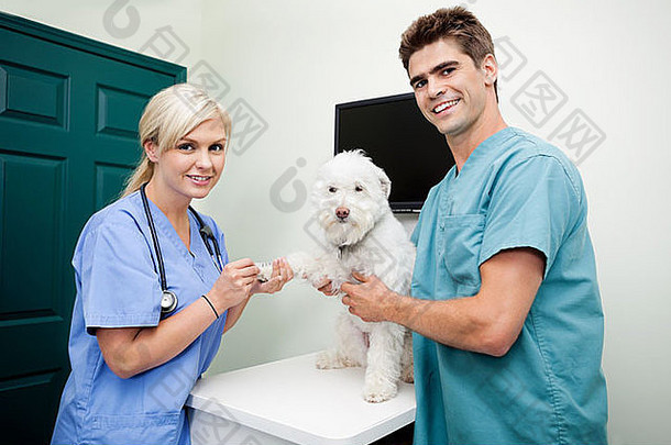 兽医带着一条狗在诊所