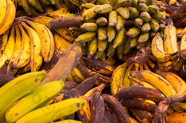 巴西市场提供种类繁多的水果和蔬菜
