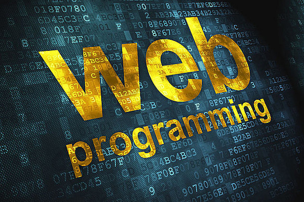 SEO web开发概念：数字背景下的web编程