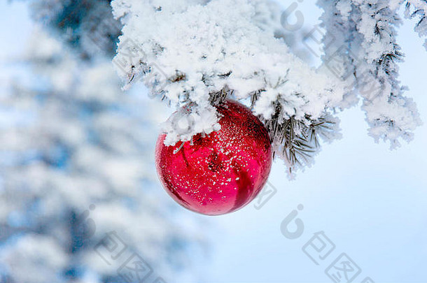 冷杉树枝上的红色圣诞球。冬季模糊背景。