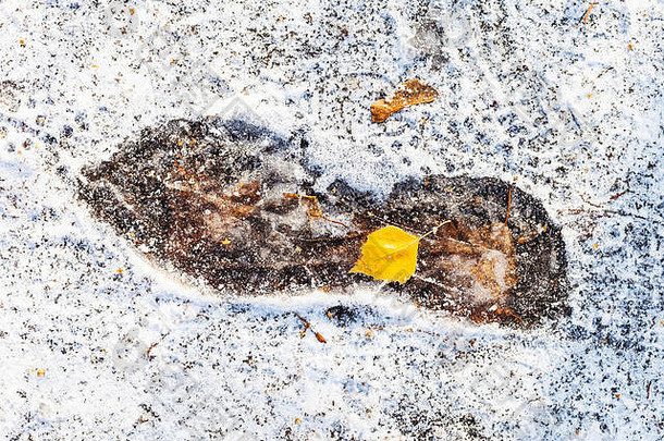 在寒冷的秋日里，被第一场雪覆盖的小路上冰冻的脚印俯视图