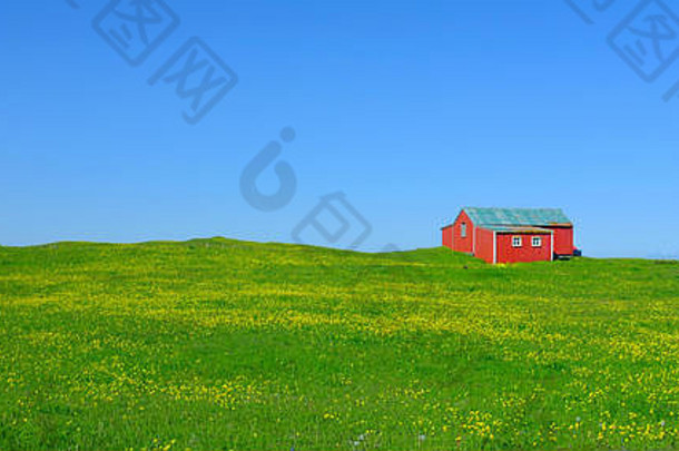 小红色的小屋绿色场冰岛