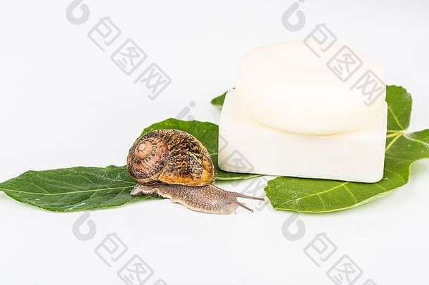 白色肥皂化妆品绿色叶使蜗牛黏液健康的有机产品