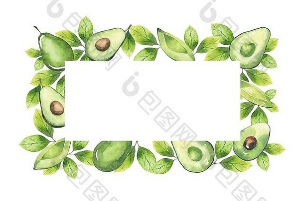 水彩矩形框架鳄梨绿色植物元素孤立的白色背景