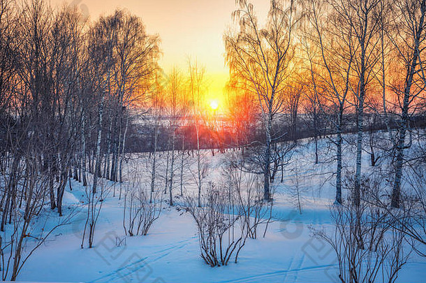五彩缤纷的冬日夕阳