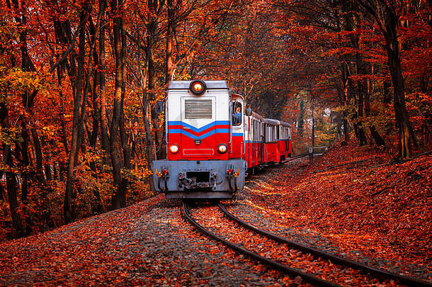 列车驶入布达佩斯的秋天森林，背景是美丽的色彩和落叶。复古风格图像