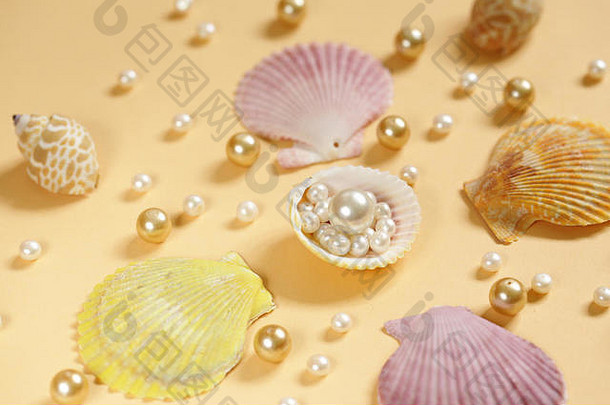作文类型珍珠贝壳