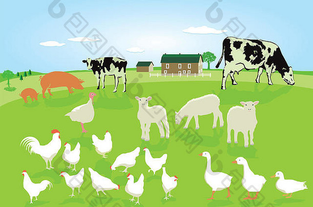 动物农业