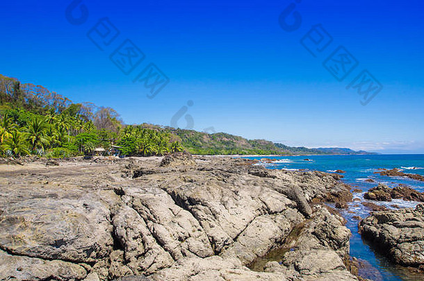 美丽的景观岩石海滩树playamontezuma华丽的蓝色的天空阳光明媚的一天