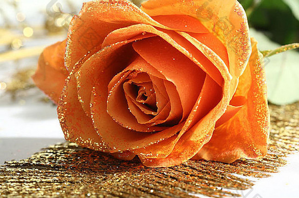 金色装饰的橙玫瑰