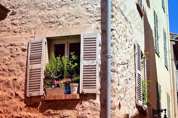 法国中世纪用植物装饰的房子的窗户