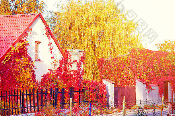 浪漫的秋天风景秋天树叶子房子