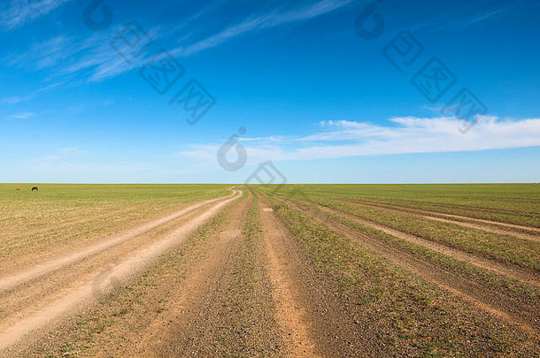 临时路跟踪平原景观完美的蓝色的天空云戈壁沙漠蒙古亚洲