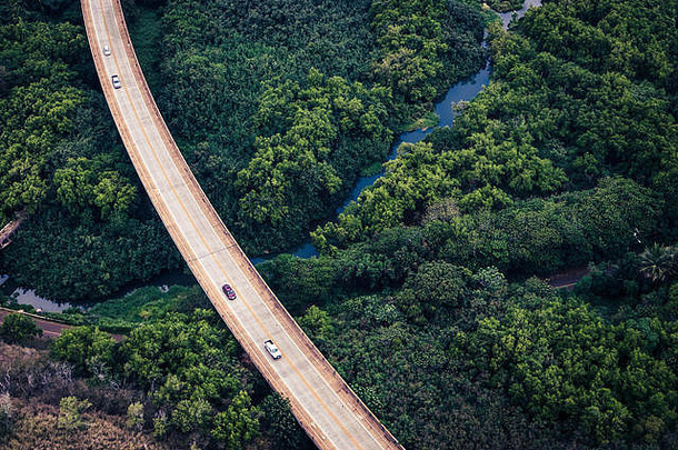 空中视图路郁郁葱葱的绿色森林考艾岛夏威夷美国