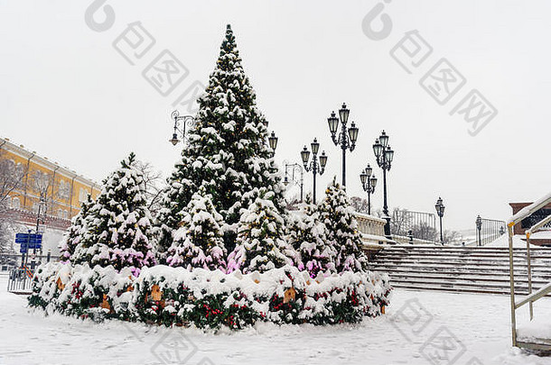 白雪覆盖的圣诞节树马内日纳亚广场莫斯科俄罗斯