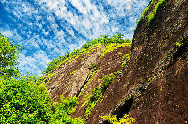 大<strong>红袍</strong>茶，大<strong>红袍</strong>茶，中国福建省武夷山地区的岩石峭壁。