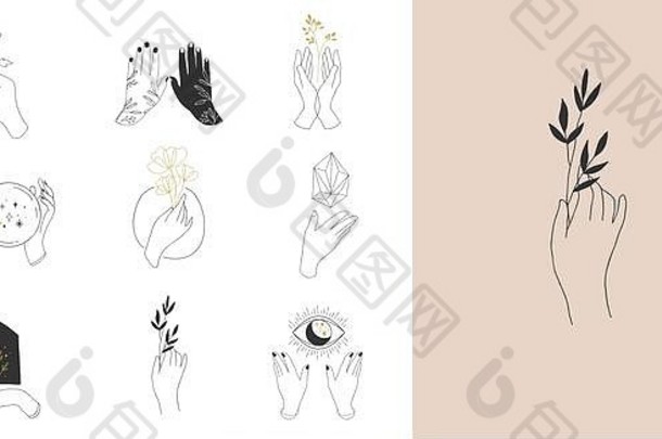 集合细手画风格标志图标手时尚皮肤护理婚礼概念插图