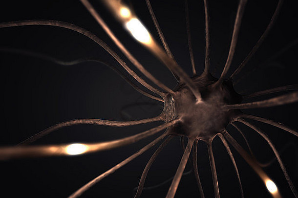 图像概念神经元相互联系的复杂的大脑网络