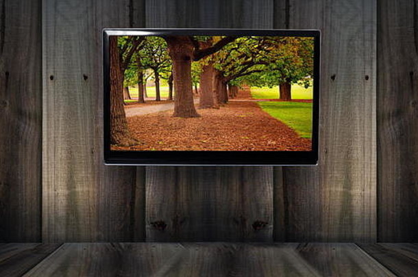 带电视和森林图片的木制靠背