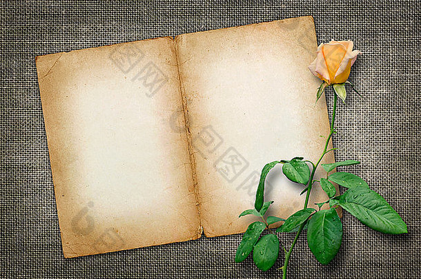 带有复古风格黄玫瑰的邀请函或祝贺卡