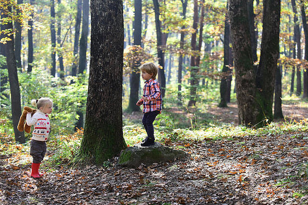 孩子们在秋天的森林里玩耍。弟弟和妹妹在新鲜空气中玩得很开心。小男孩和小女孩朋友在树林里露营。童年与儿童友谊