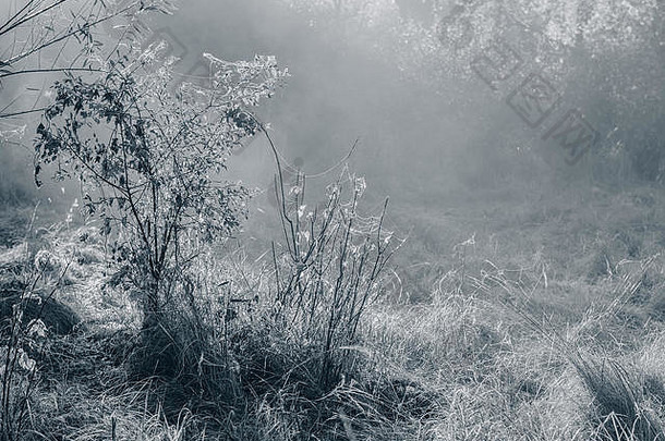 有雾的秋天早....村单色照片背景网络设计