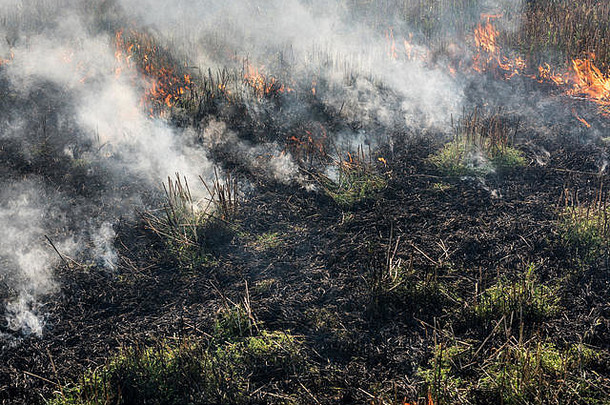 燃烧稻草碎秸场危险的全球气候变暖烟污染